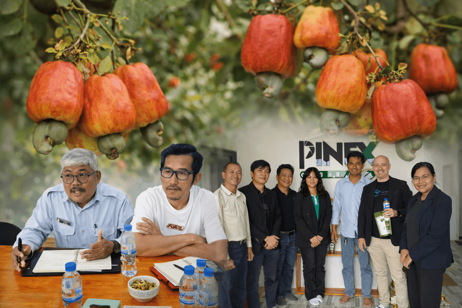 TechCoop Explores Cambodian Cashew Partnership with Pilot Export Plan