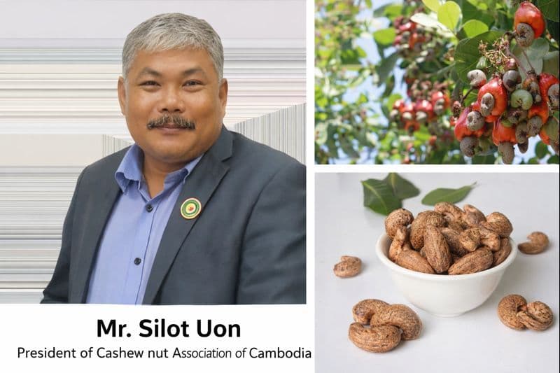 ថ្នាំពុលកសិកម្ម មានត្រជាក់ មានក្តៅ?