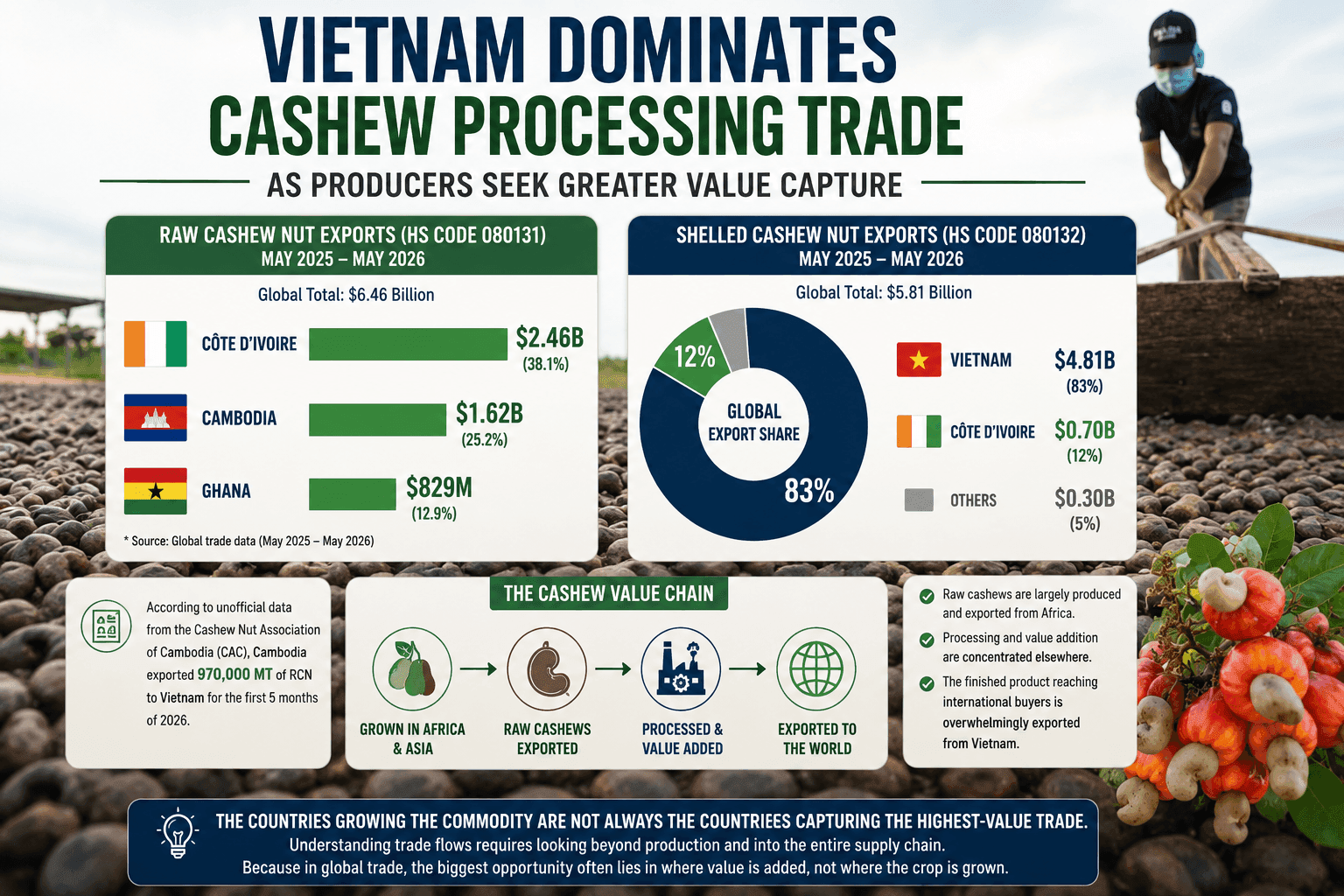 Vietnam Dominates Cashew Processing Trade as Producers Seek Greater Value Capture
