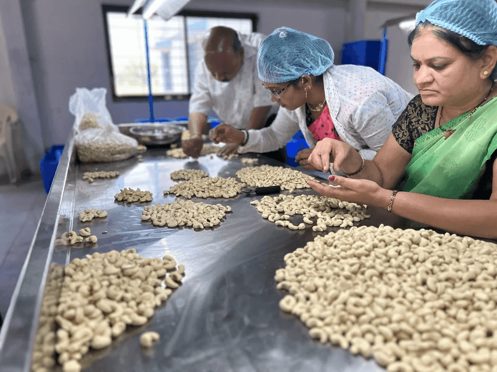 India Cashew Association Flags Surge in Illegal Imports, Urges Government Action