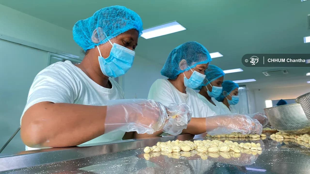 $5M Cashew Processing Plant to Rise in Kampong Thom