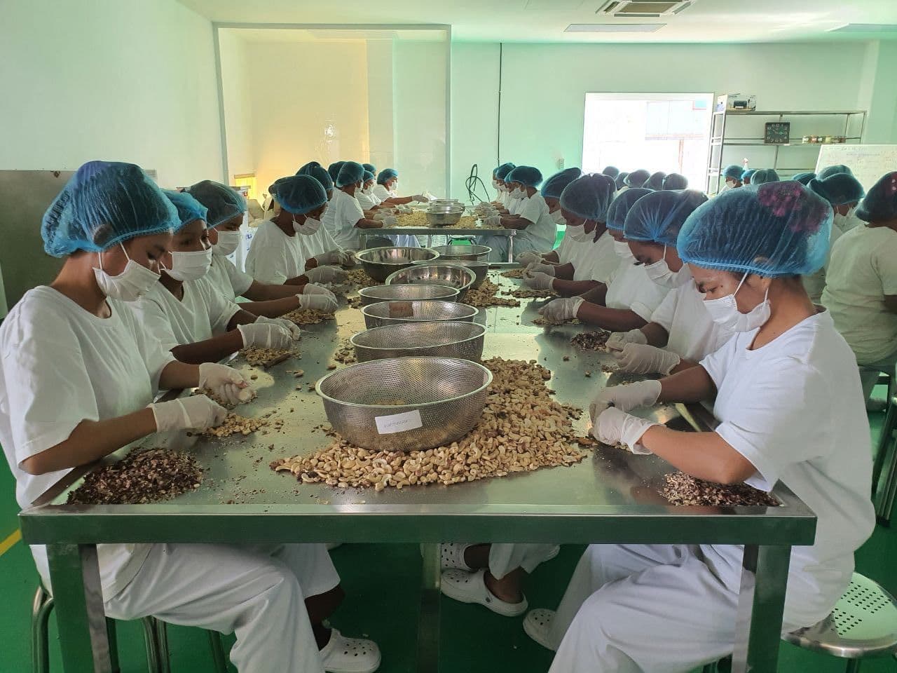 CAC and Khmer Enterprise Explore Deeper Cooperation to Boost Cambodia’s Cashew Sector