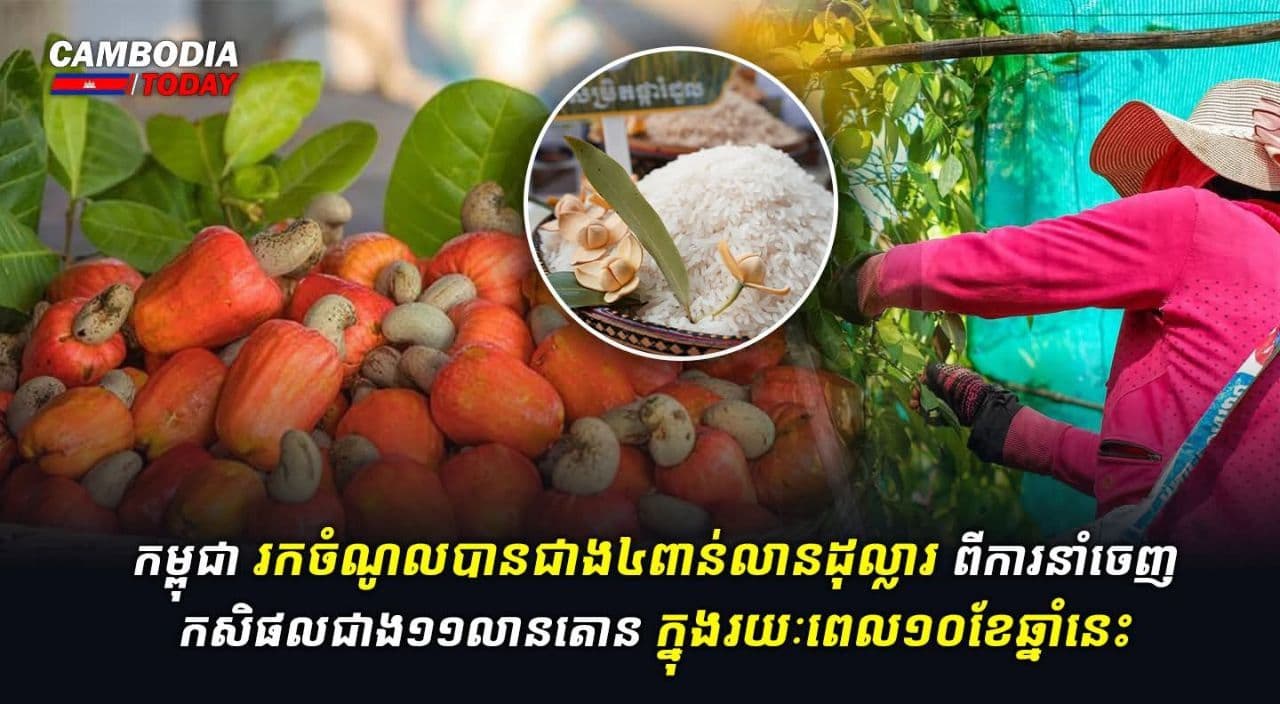 Cambodia Rolls Out Major Tax Breaks to Boost Agricultural Investment