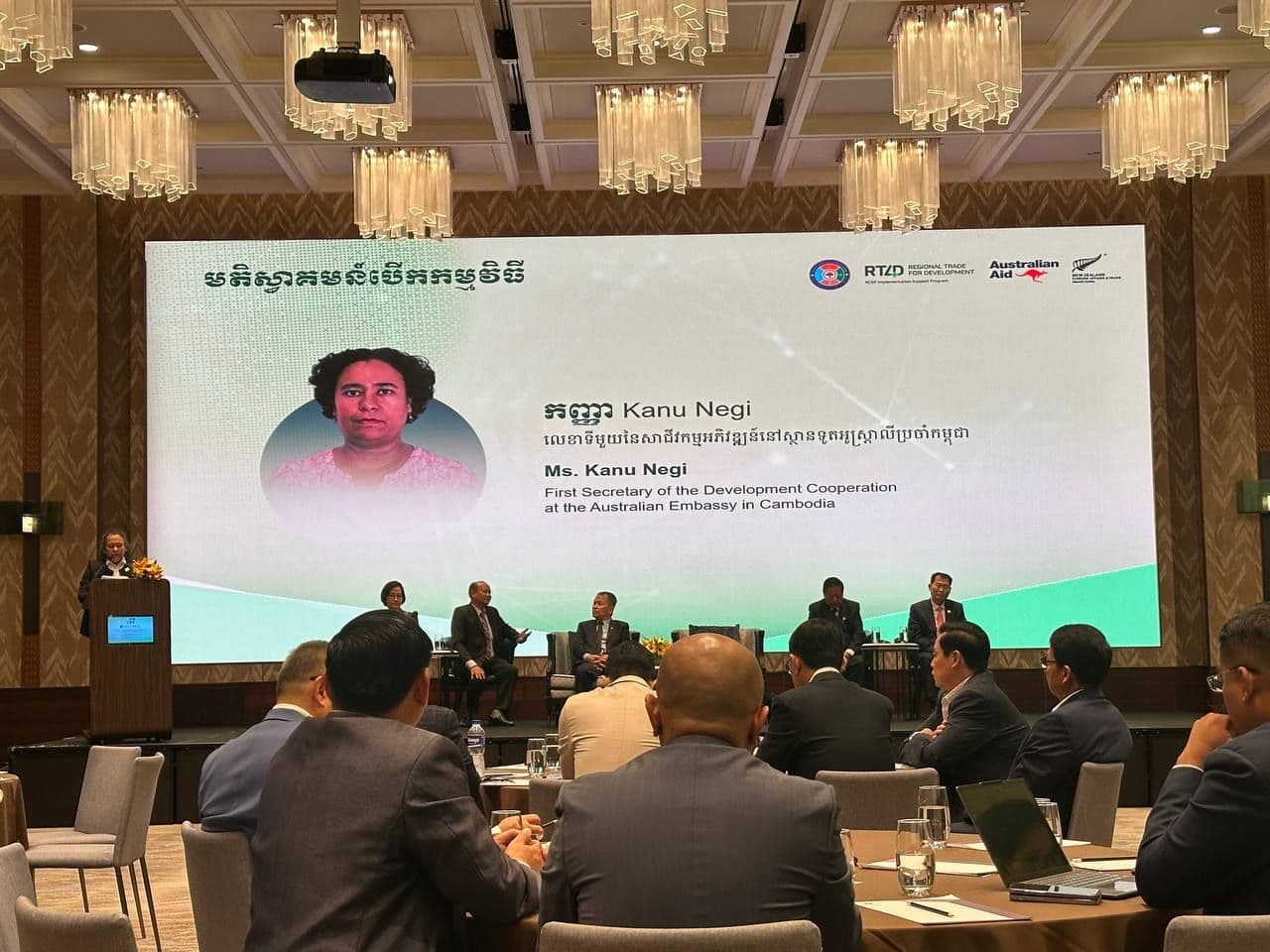 CAC Vice President Participates in National Consultation on STRACAP Roadmap for Inclusive Growth