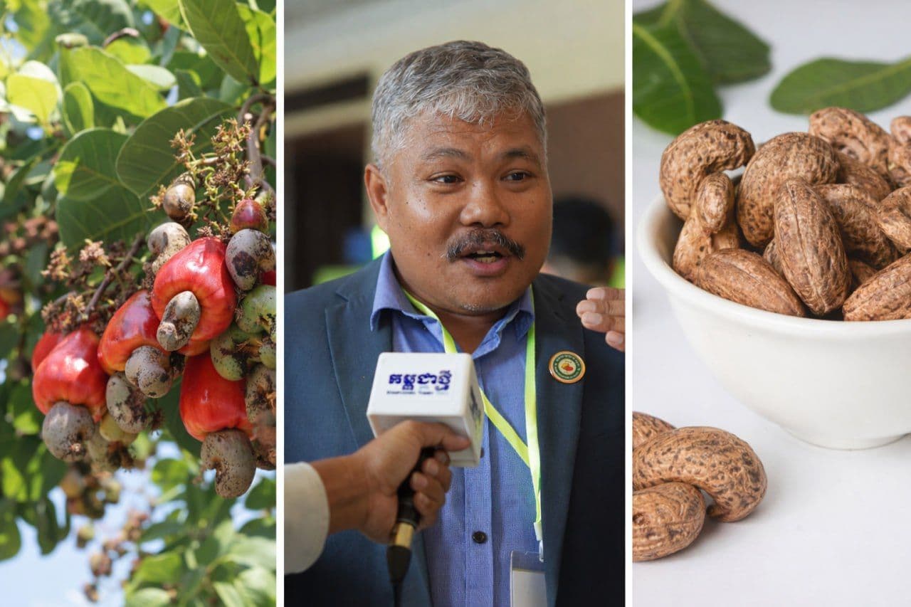 CAC Explores Cashew Apple Processing to Reduce Waste and Boost Farmer Incomes
