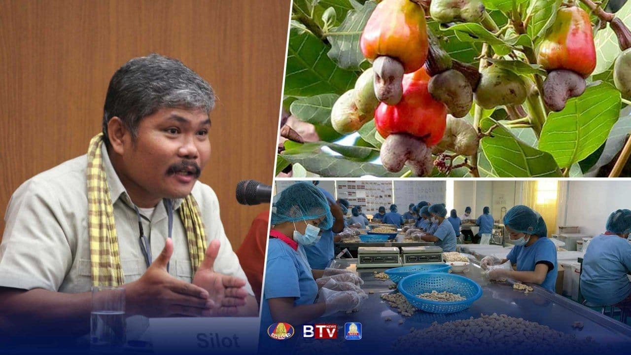 Cashew Sector Strengthens Workforce Development Through New Industry Partnerships