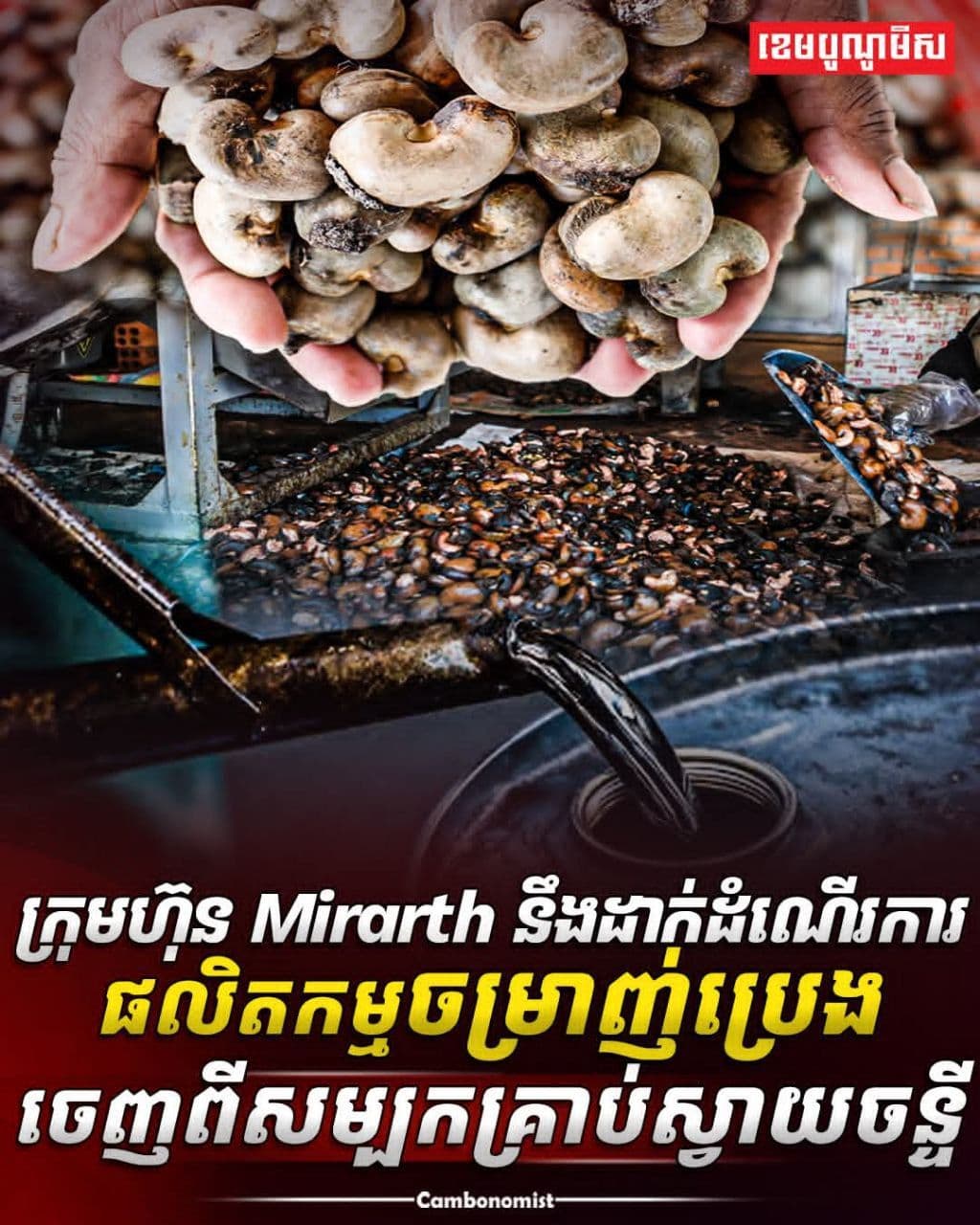 CAC, Mirarth Green Tech Discuss Investment in Cashew Nut Shell Liquid Production
