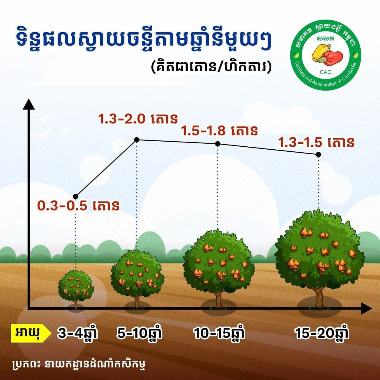 ទិន្នផលស្វាយចន្ទីតាមឆ្នាំនិមួយៗ
