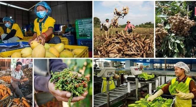 Cambodia Prioritises Agricultural Export Growth via Laos-China Corridor in 2026