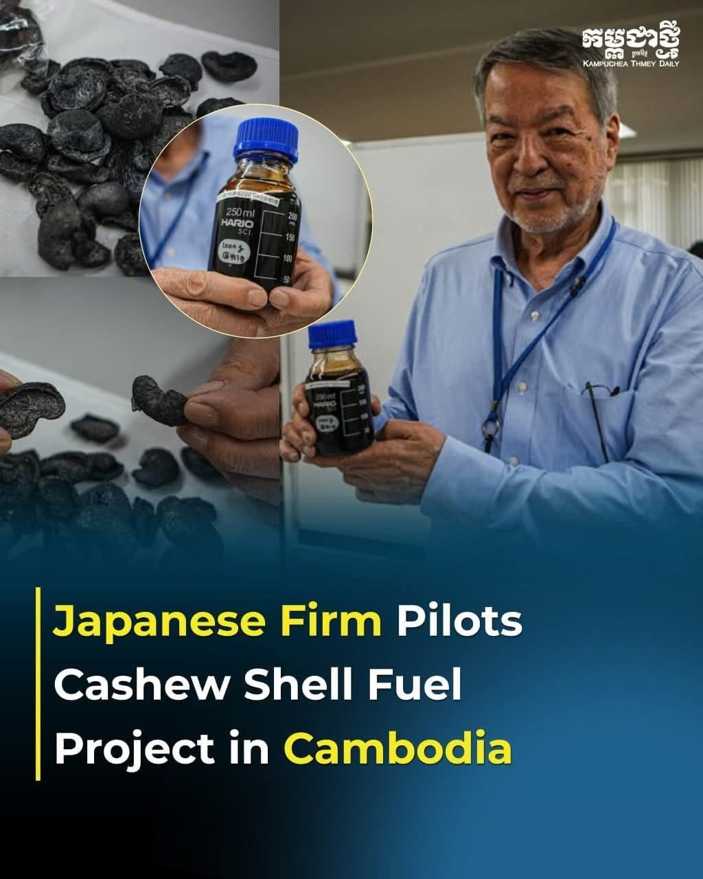 Japanese Firm Pilots Cashew Shell Fuel Project in Cambodia