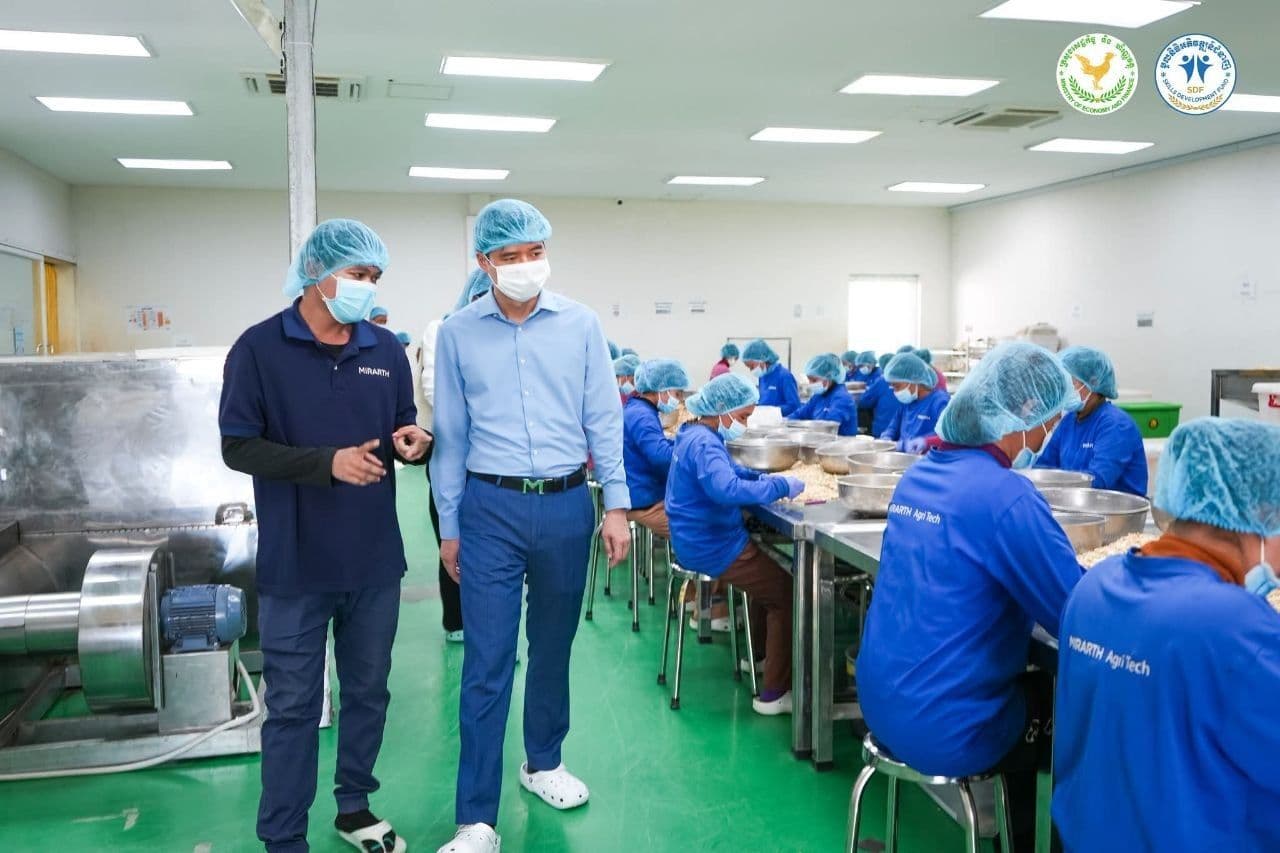 SDF, CAC and PIKT Strengthen Partnership to Build Skilled Workforce for Cambodia’s Cashew Industry