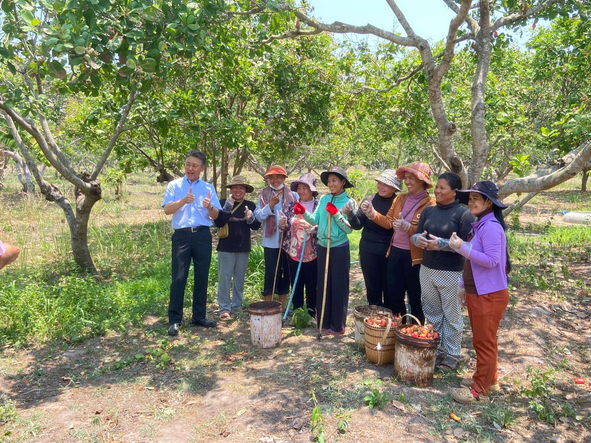 Cambodia’s Premium Cashew Industry Gains Momentum with Japanese Partnerships