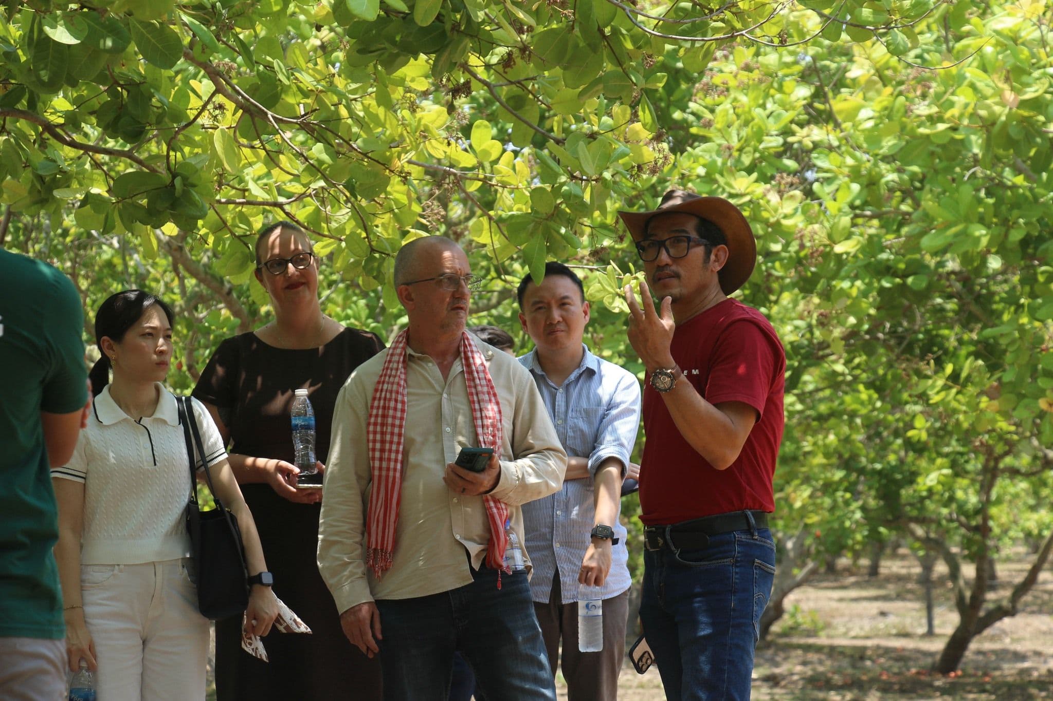International Business Chamber Cambodia Explores Growing Cashew Industry in Kampong Thom