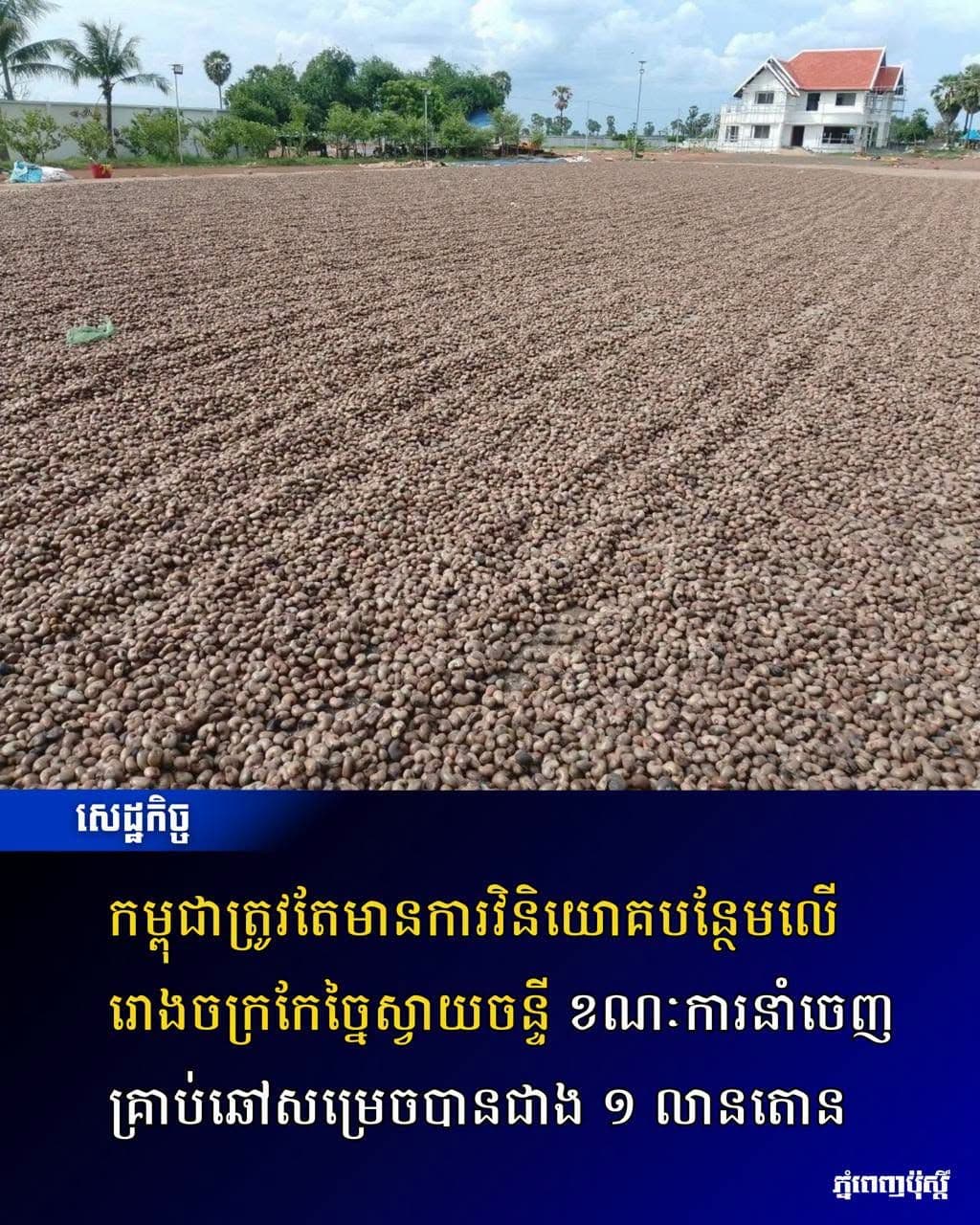 Japan backs Kratie cashew farmers with $160K grant
