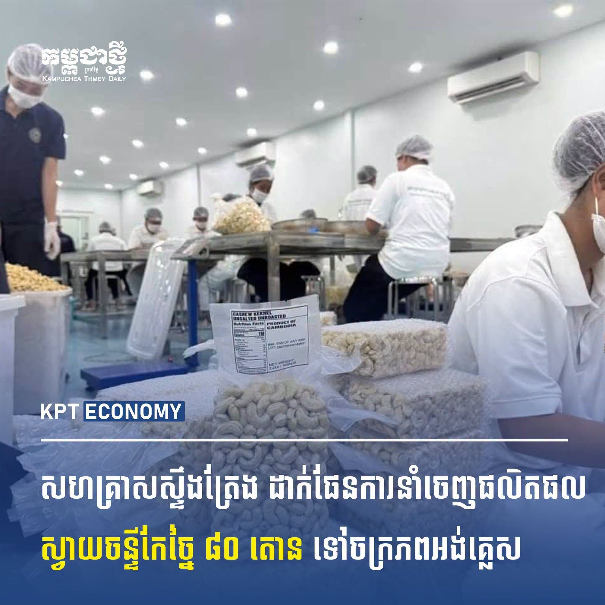 Cambodian Cashew Processor Targets 80 Tons of UK Exports in 2026