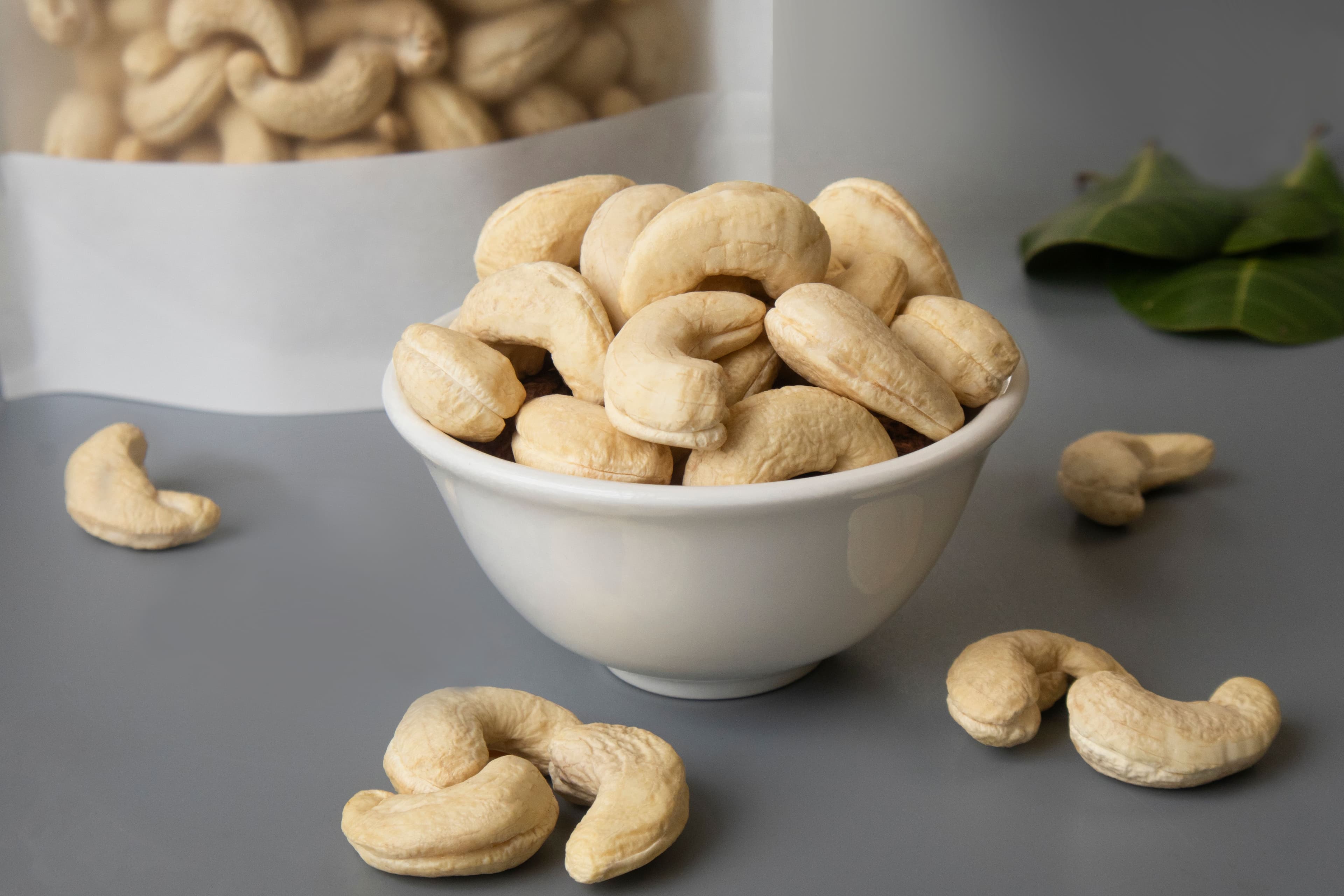 Bulgarian Chamber of Commerce Eyes Cambodian Cashew Market for Export and Investment
