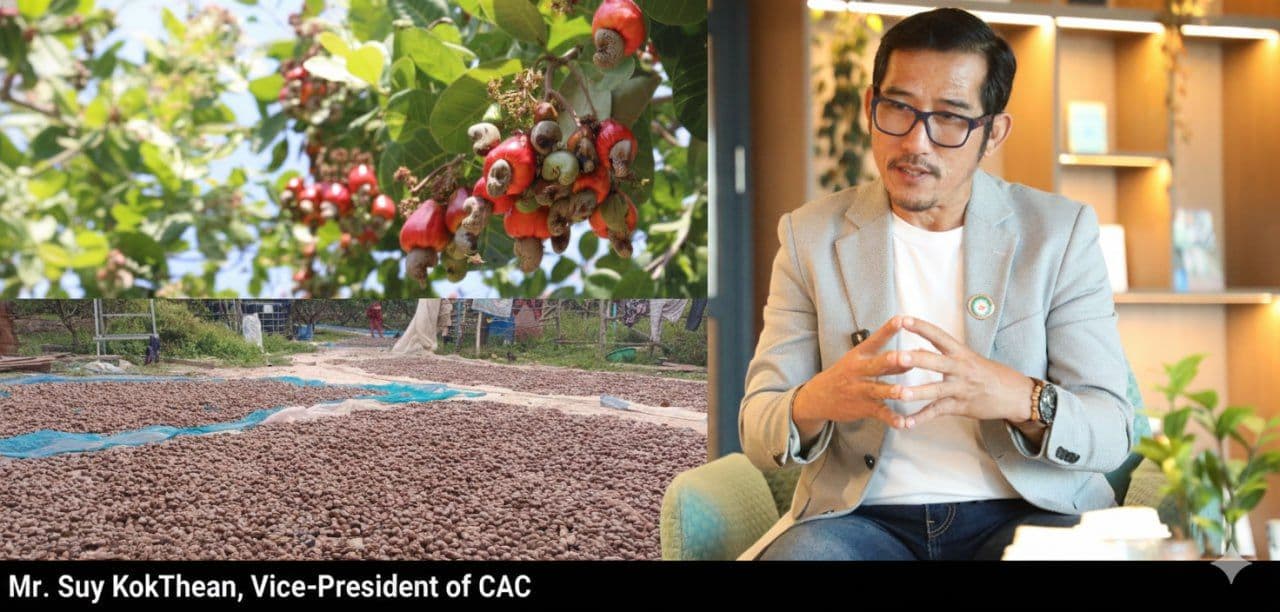 Cambodia eyes global leadership at World Cashew Conference 2026