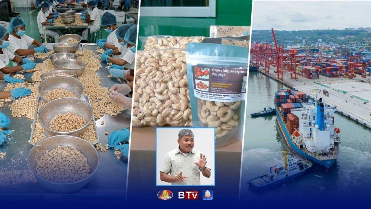 Cashew Market 2026 Faces Headwinds Today, Opportunities Tomorrow